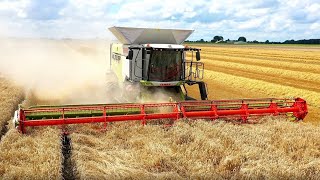 Combinen met CLAAS Lexion 8800 TerraTrac Johannes Kerkhovenpolder [upl. by Enived]