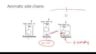 Determining Protonation State of Amino Acids [upl. by Morie]