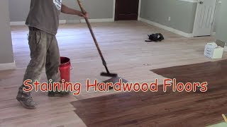 Staining Hardwood Floors [upl. by Lisbeth]