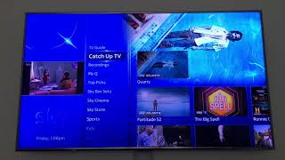 Sky Q Mini Multiroom Viewing [upl. by Ivonne744]