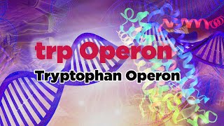 trp Operon  Tryptophan Operon [upl. by Laemsi]