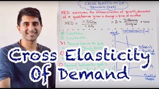 Y1 13 Cross Elasticity of Demand XED [upl. by Ydnyl313]