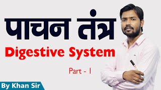 Digestive System  पाचन तंत्र  Khan GS Research Center  Patna [upl. by Eirhtug600]