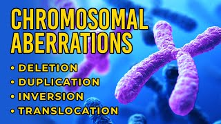 Chromosomal Aberrations  Deletion  Duplication  Inversion  Translocation [upl. by Timothy]