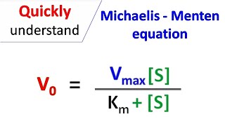 Michaelis Menten equation [upl. by Rowell207]