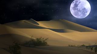 HOWLING DESERT WINDS  Howling Wind Sounds for Sleep amp Relaxation [upl. by Karlow]