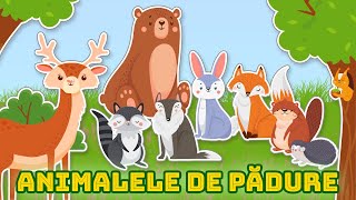 Animalele de Padure  Cunoasterea mediului  Copilasi Dragalasi [upl. by Emaj]