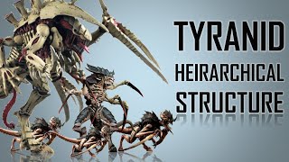 13 Ranks in a Tyranid Hierarchy Warhammer 40K [upl. by Bartlet609]