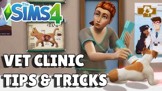 8 Vet Clinic Tips And Tricks For Success  The Sims 4 Cats amp Dogs Guide [upl. by Kinsler]