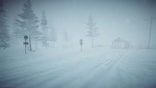 8 Hours Blizzard Sounds amp Howling wind  Winter Storm Sounds  Heavy Snowstorm [upl. by Ecnaralc]