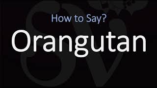 How to Pronounce Orangutan CORRECTLY [upl. by Godding]