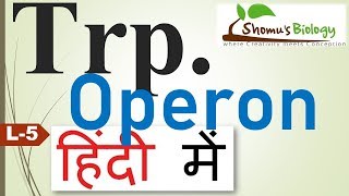 Tryptophan operon in Hindi Trp operon [upl. by Wilcox118]