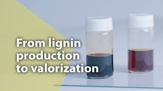 From lignin production to valorization [upl. by Immas]