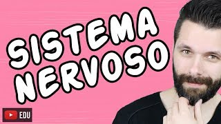 SISTEMA NERVOSO  FISIOLOGIA  Aula  Biologia com Samuel Cunha [upl. by Arec984]