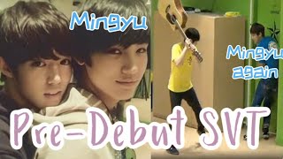 Seventeen predebut moments that made me laugh [upl. by Hgielra148]