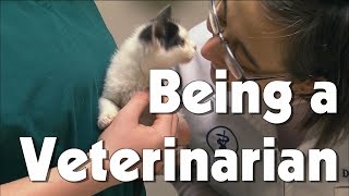 Being a Veterinarian  The Friday Zone  WTIU  PBS [upl. by Lennard]