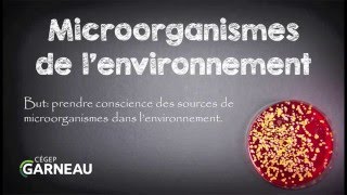 Microorganismes de lenvironnement [upl. by Clower]