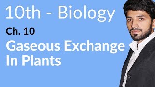 10th Class Biology Chapter 1  Gaseous Exchange in Plants  Class 10 Biology Chapter 1 [upl. by Maryl]