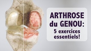 Arthrose du genou 5 exercices ESSENTIELS [upl. by Stefano736]