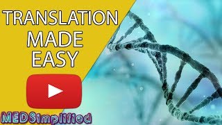 DNA Translation Made Easy [upl. by Memory946]