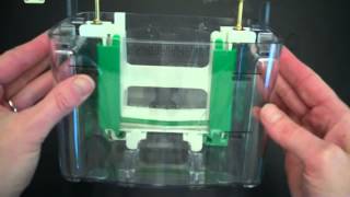 SDS PAGE Part 1 Assembly and Electrophoresis [upl. by Einaoj]