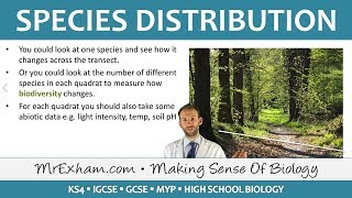 Ecology  Species Distribution Fieldwork  GCSE Biology 91 [upl. by Eelydnarb323]