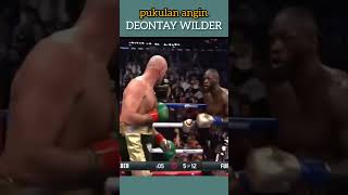 Tyson Fury vs Deontay Wilder [upl. by Aihpos]