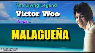 MALAGUEÑA  Victor Wood with Lyrics [upl. by Freeborn]