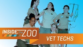 Veterinary Technicians  Inside the Zoo Hospital Ep 3 [upl. by Einnek857]