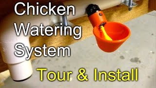 Chicken Watering Tour and Install of my gravity fed system [upl. by Airamanna]