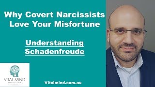 Why Covert Narcissists Love Your Misfortune Understanding Schadenfreude [upl. by Cecelia]