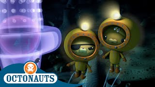 Octonauts  The Siphonophore  Full Episodes  Cartoons for Kids  Underwater Sea Education [upl. by Arraik]