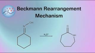 Beckmann Rearrangement Example Mechanism  Organic Chemistry [upl. by Fong]