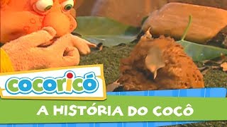 Videoclipe  A história do Cocô [upl. by Anidam]