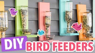 DIY Bird Feeders [upl. by Phineas]