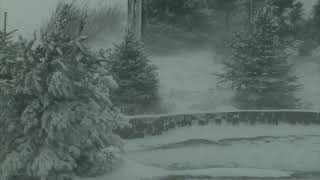 Epic Snowstorm  10 Hours Version  Howling Blizzard Sounds  Heavy Wind  Perfect Sounds For Sleep [upl. by Neenad]