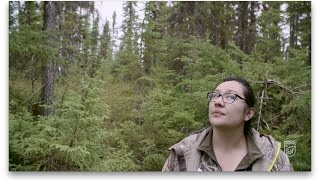 The Waswanipi Cree Call to Protect Their Last Pristine Land [upl. by Everett]