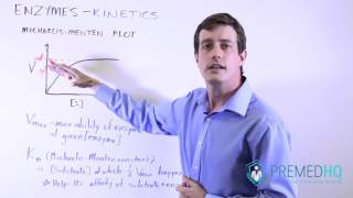 Enzyme Kinetics with MichaelisMenten Curve  V s Vmax and Km Relationships [upl. by Painter750]