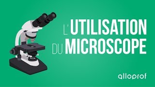 Lutilisation du microscope  Sciences  Alloprof [upl. by Eidnim]