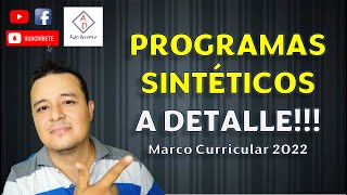 LOS PROGRAMAS SINTÉTICOS [upl. by Worra]