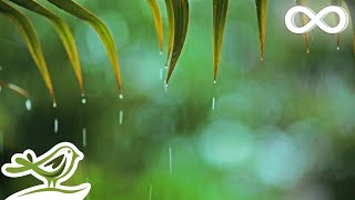 Relaxing Music amp Rain Sounds  Beautiful Piano Music Background Music Sleep Music • You amp Me [upl. by Carli]