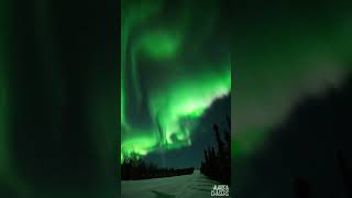 Aurora Borealis in Alaska Mesmerizing Northern Lights [upl. by Cupo]