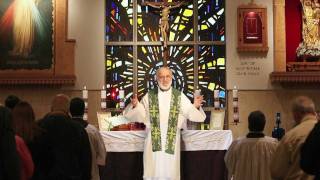 Sacraments 101 Holy Orders what ordination means [upl. by Mokas]