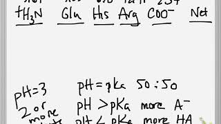 BIS102  Net electric charge of peptides  Ch3 11 [upl. by Radnaskela]