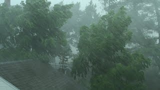 Heavy Rain and Wind Sounds For Sleeping  Relaxation  10 Hours [upl. by Iruy569]