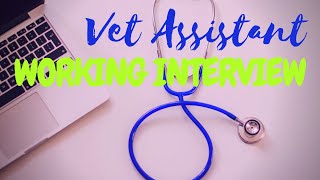 Vet Assistant Working Interview [upl. by Adehsar599]