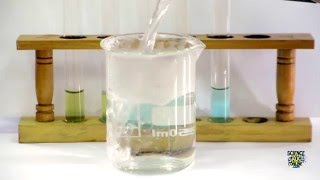 Food Tests  Iodine Biuret Benedicts Ethanol DCPIP [upl. by Larok859]