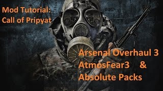 Stalker Call of Pripyat Mods Install Guide [upl. by Hgielyak579]