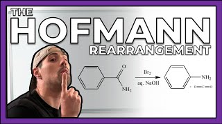 The Hofmann RearrangementRxn and Mechanism [upl. by Tarsus644]