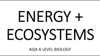 ENERGY amp ECOSYSTEMS  AQA A LEVEL BIOLOGY  EXAM QUESTIONS RUN THROUGH [upl. by Jaynes840]